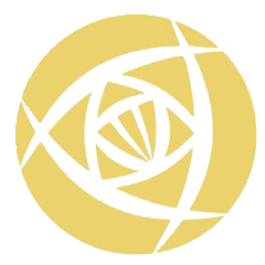 中女超联赛 广东省女足vs北京东方雨虹女足20250727