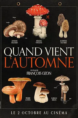 秋日何时来[电影解说]