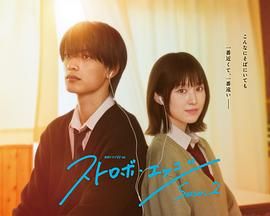 闪烁的爱情 第二季 高清电视剧全集