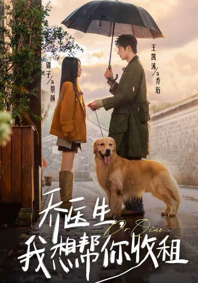 乔医生，我想帮你收租 短剧高清在线播放