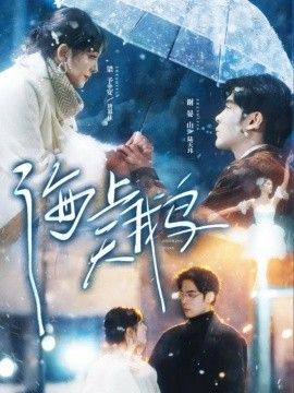 海上天鹅 同类型推荐