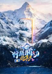 怦然新动的冬天第二季 同类型推荐