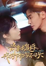 前妻求复婚，我扔下协议不回头 同类型推荐