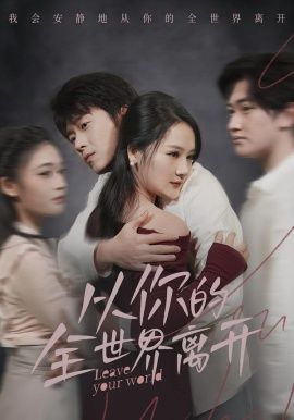 从你的全世界离开 同类型推荐