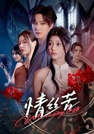 情丝苦 同类型推荐