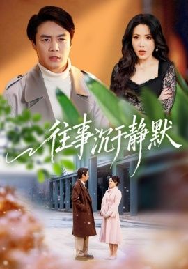 往事沉于静默 同类型推荐