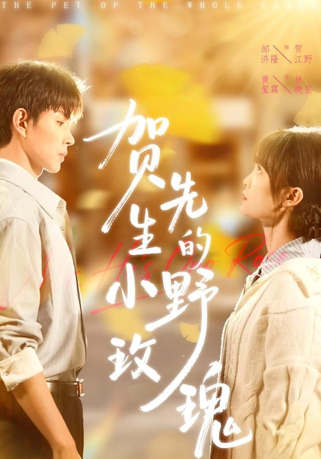 贺先生的小野玫瑰 同类型推荐