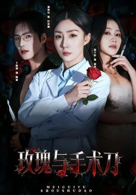 玫瑰与手术刀 同类型推荐