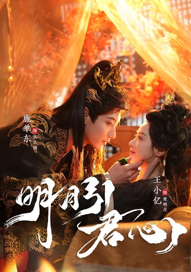 明月引君心 同类型推荐