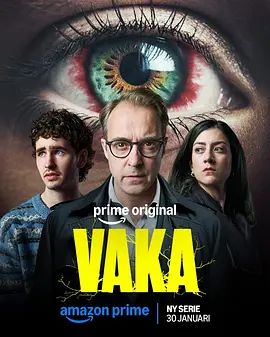 Vaka 同类型推荐