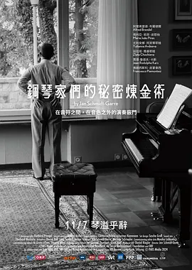 钢琴家们的秘密炼金术 同类型推荐