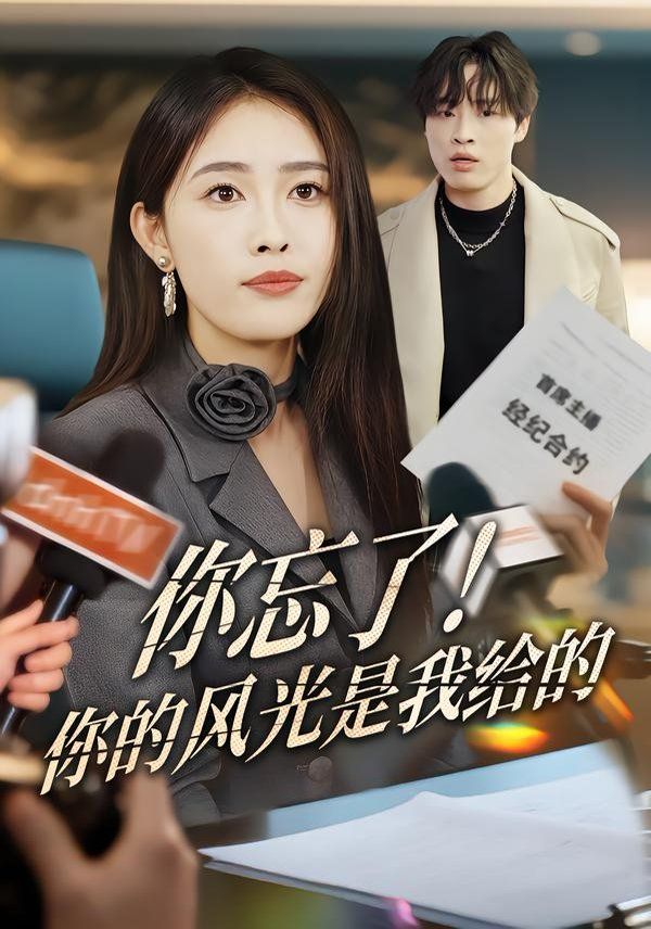 你忘了！你的风光是我给的 同类型推荐