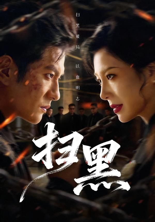 扫黑 同类型推荐