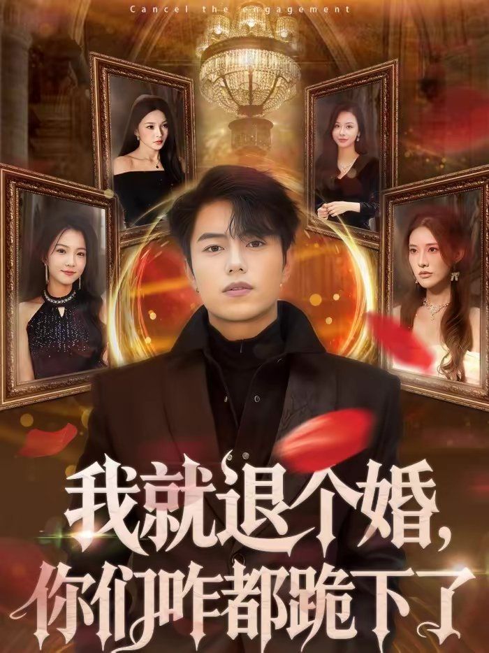 我就退个婚，你们咋都跪下了 同类型推荐