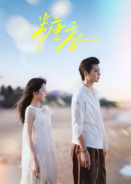 糖衣 同类型推荐