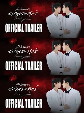 维纳斯的新郎 同类型推荐