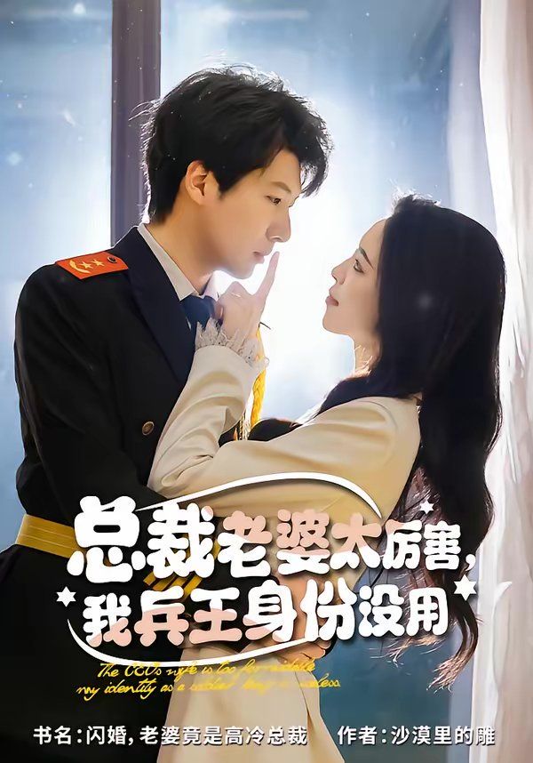 总裁老婆太厉害，我兵王身份没用 同类型推荐