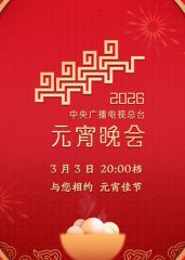2026年中央广播电视总台元宵晚会 同类型推荐