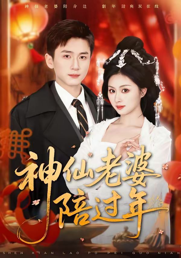 神仙老婆陪过年 同类型推荐