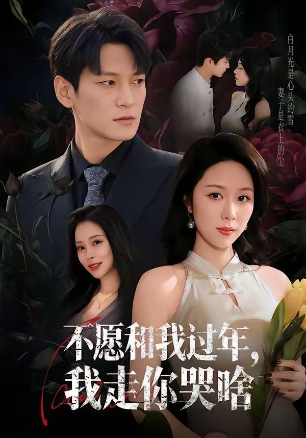 不愿和我过年，我走你哭啥 同类型推荐
