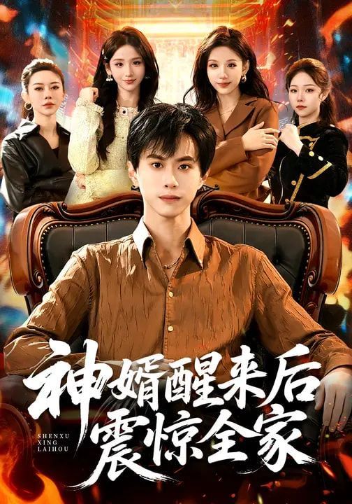 神婿醒来后震惊全家 同类型推荐