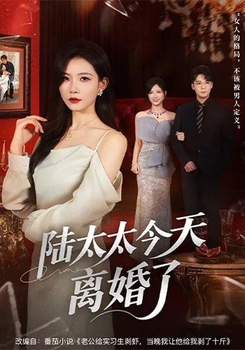 陆太太今天离婚了 同类型推荐