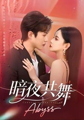 暗夜共舞 同类型推荐