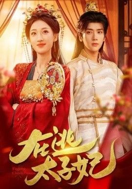 在逃太子妃 同类型推荐