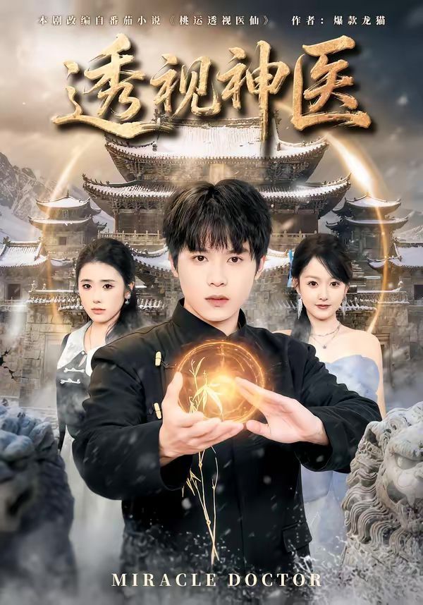透视神医（2026） 同类型推荐