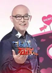 非诚勿扰2025 同类型推荐