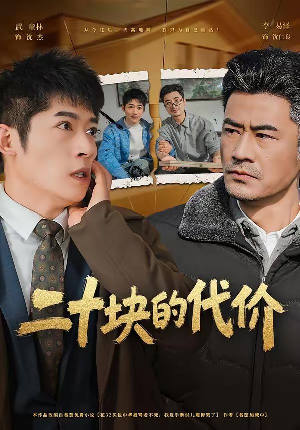 二十块的代价 同类型推荐