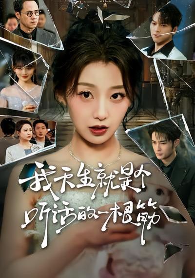 我天生就是个听话的一根筋 同类型推荐