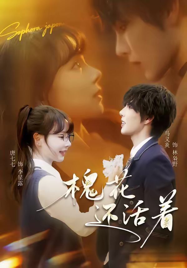 槐花还活着 同类型推荐