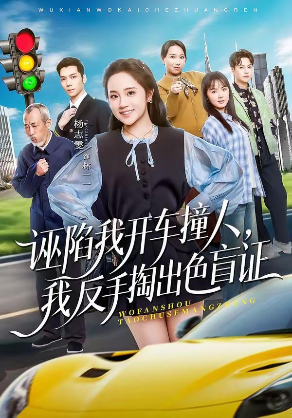 诬陷我开车撞人，我反手掏出色盲 同类型推荐