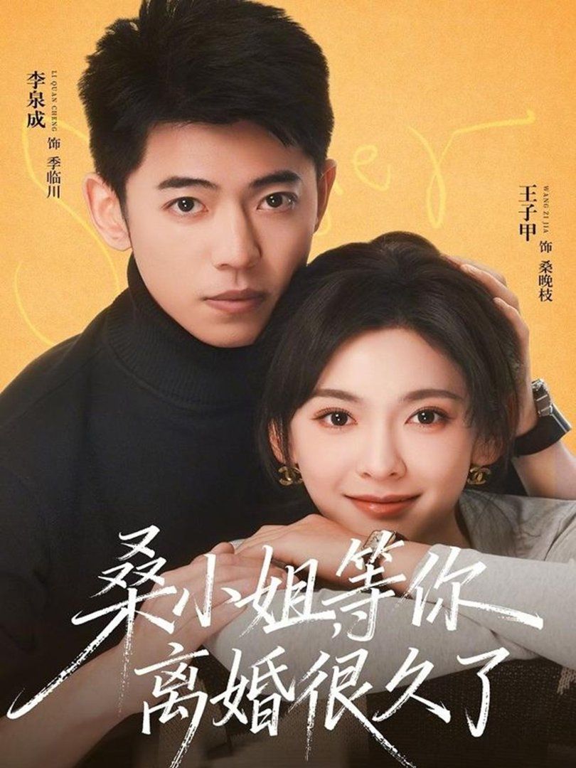 桑小姐，等你离婚很久了 同类型推荐