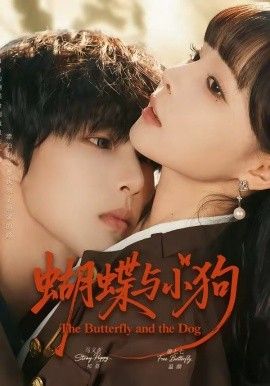 蝴蝶与小狗 同类型推荐
