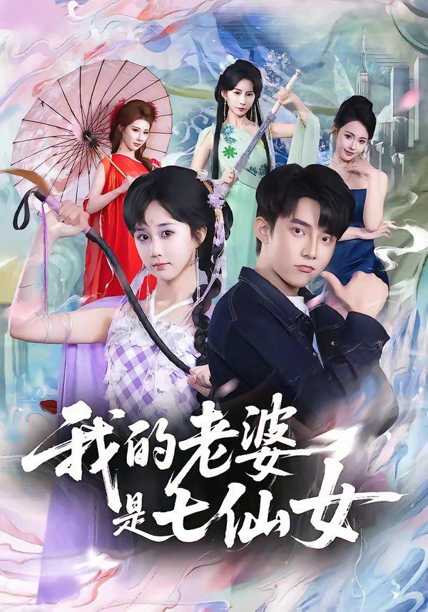 我的老婆是七仙女 同类型推荐