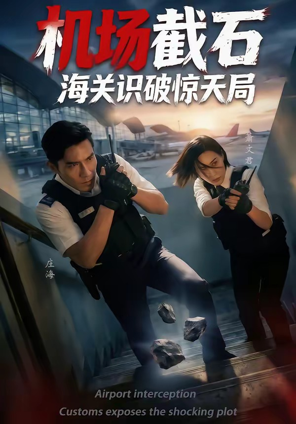 机场截石，海关识破惊天局 同类型推荐