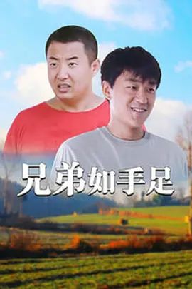 兄弟如手足 同类型推荐