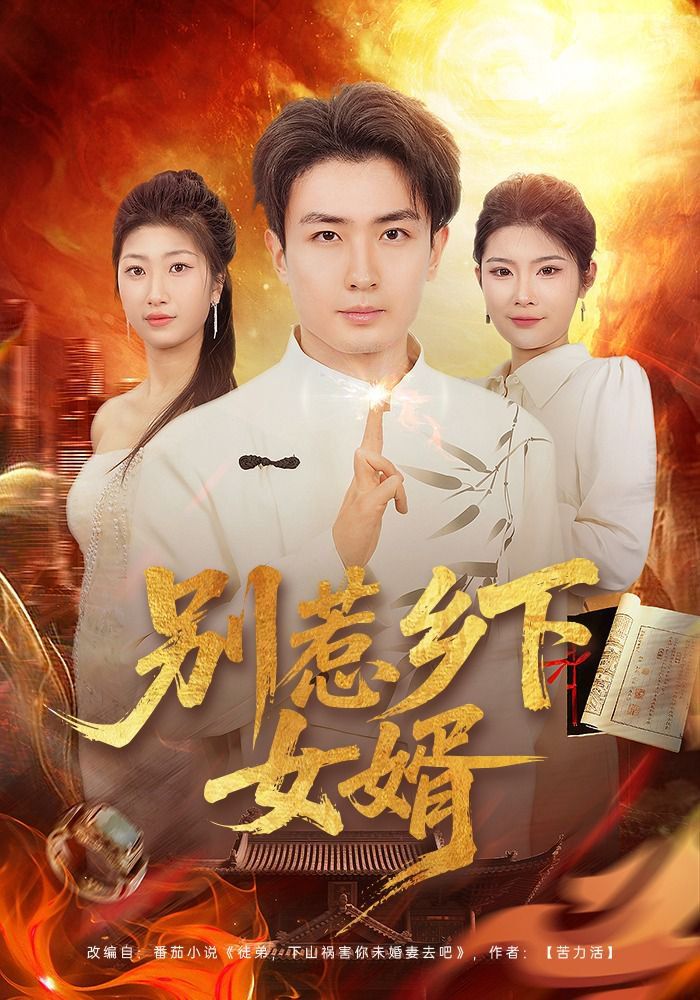 别惹乡下女婿 同类型推荐