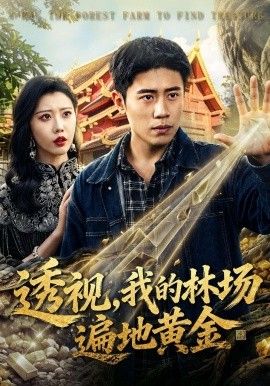透视，我的林场遍地黄金 同类型推荐