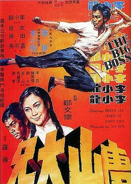 唐山大兄[电影解说] 同类型推荐