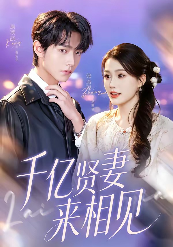 钻石贤妻来相见＆千亿贤妻来相见 同类型推荐