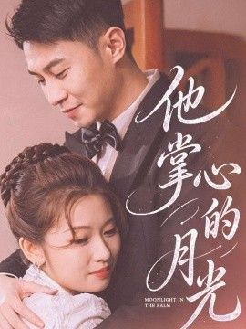 他掌心的月光 同类型推荐
