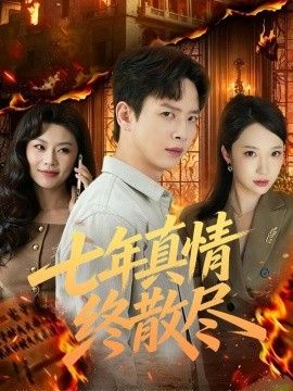 七年真情终散尽 同类型推荐