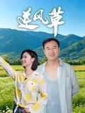 逆风草 同类型推荐