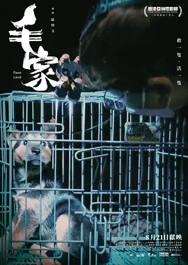 毛家 同类型推荐