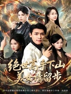 绝世高手下山，美女请留步 同类型推荐