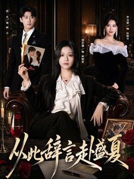 从此辞言赴盛夏 同类型推荐