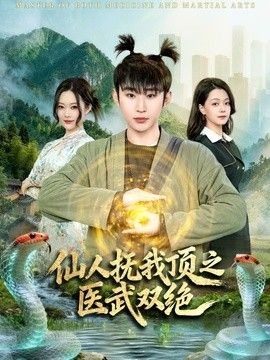 仙人撫我頂之醫武雙絕